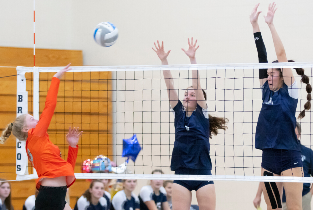 North Branch volleyball