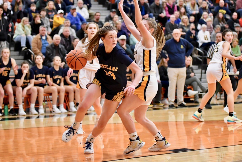 Hartland/Clarkston basketball