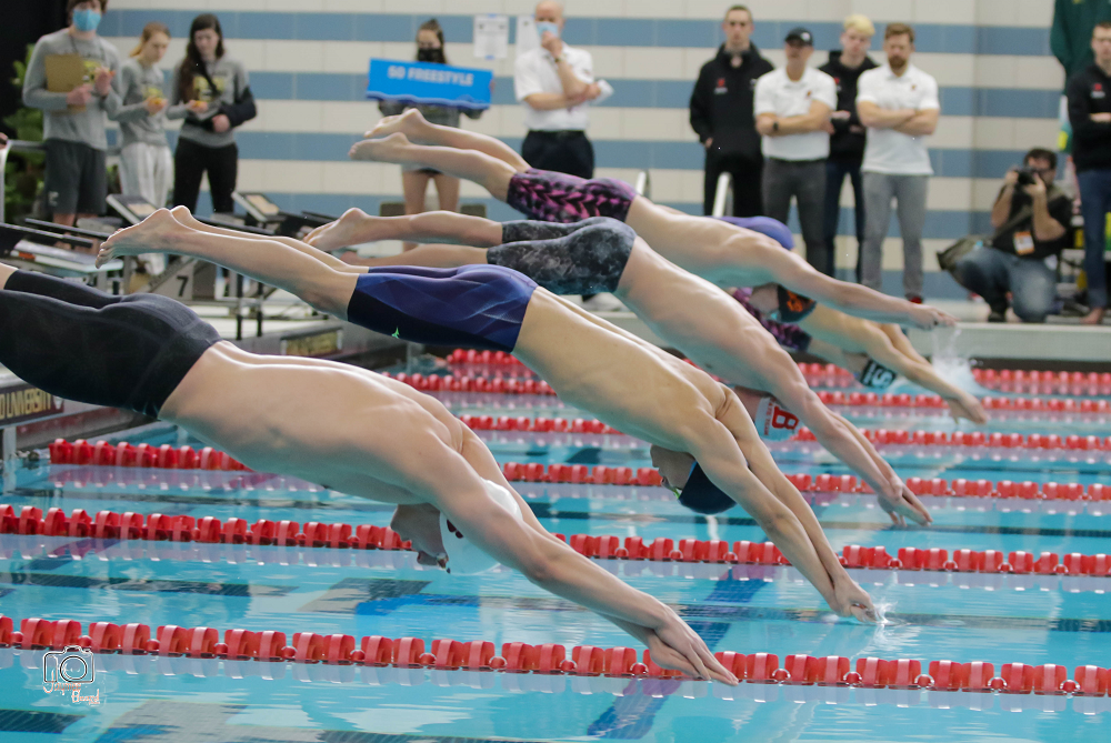 Swimmers launch during a Lower Peninsula Division 2 Finals race in 2022.