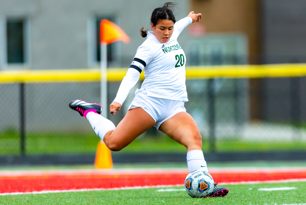 Grosse Pointe North’s Megan Robert steps into a kick against Romeo this spring. 