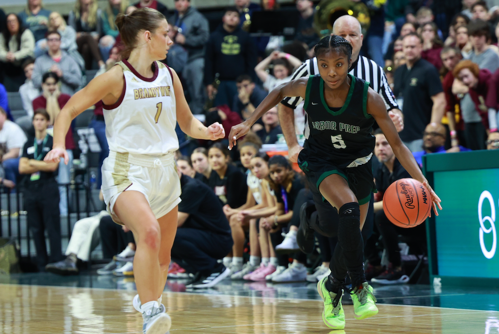 Arbor Prep’s Taylor Wallace (5) brings the ball upcourt Saturday with Brandywine’s Ellie Knapp (1) applying pressure.