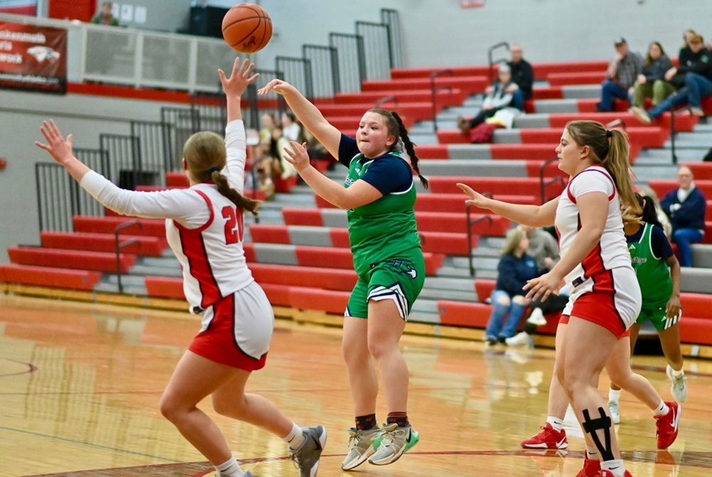  Saginaw Heritage passes the ball around the perimeter during its 67-43 win at Frankenmuth on Jan. 12. 