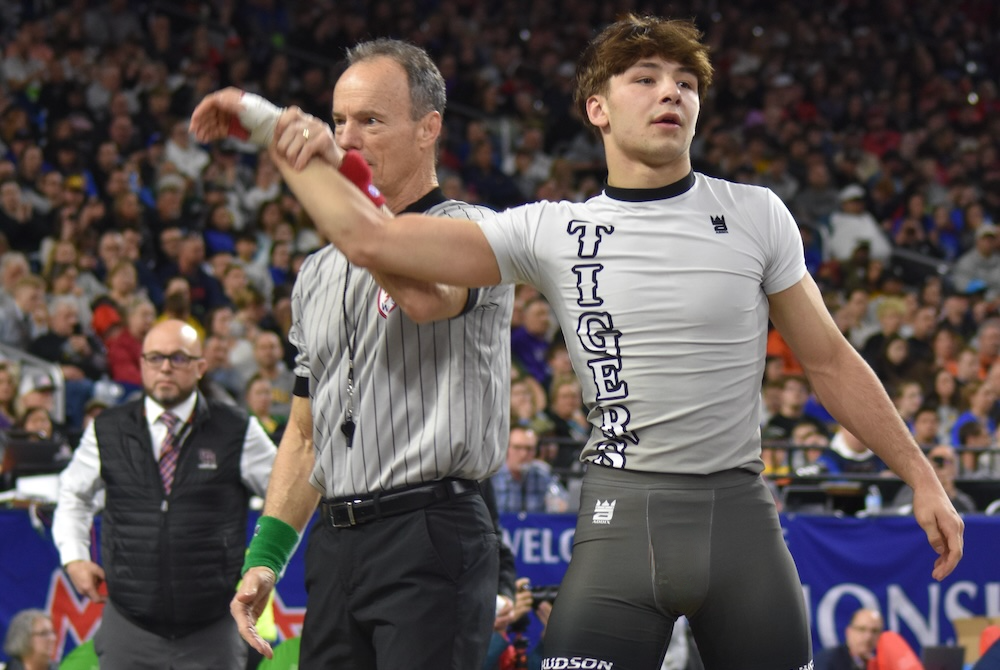 Hudson's Nicholas Sorrow stands with his hand raised in victory Saturday at Ford Field.
