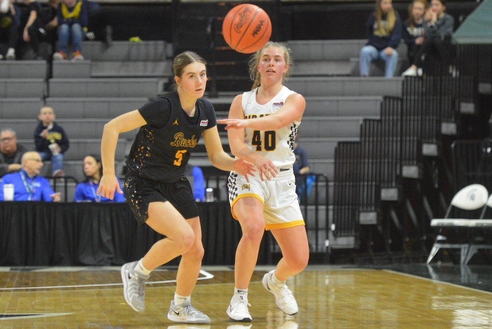 Pewamo-Westphalia’s Alonna Thelen (40) moves the ball up court Thursday while defended by Roscommon’s Mara Williams. 