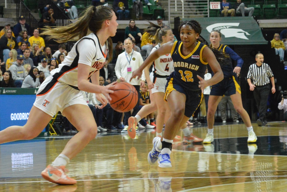 Goodrich's Kayla Hairston defends a Tecumseh ball handler during the Division 2 Final.