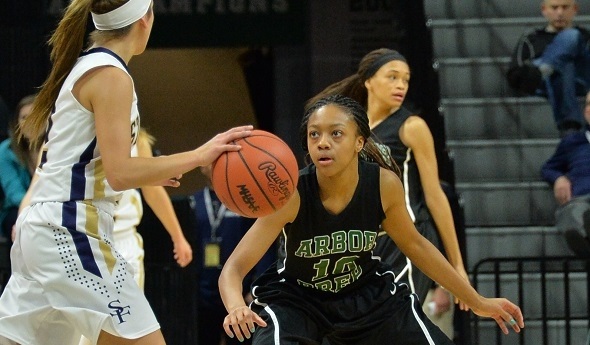 Ypsilanti Arbor Prep won the Class C girls basketball championship earlier this month, but will compete in Class B next season. 