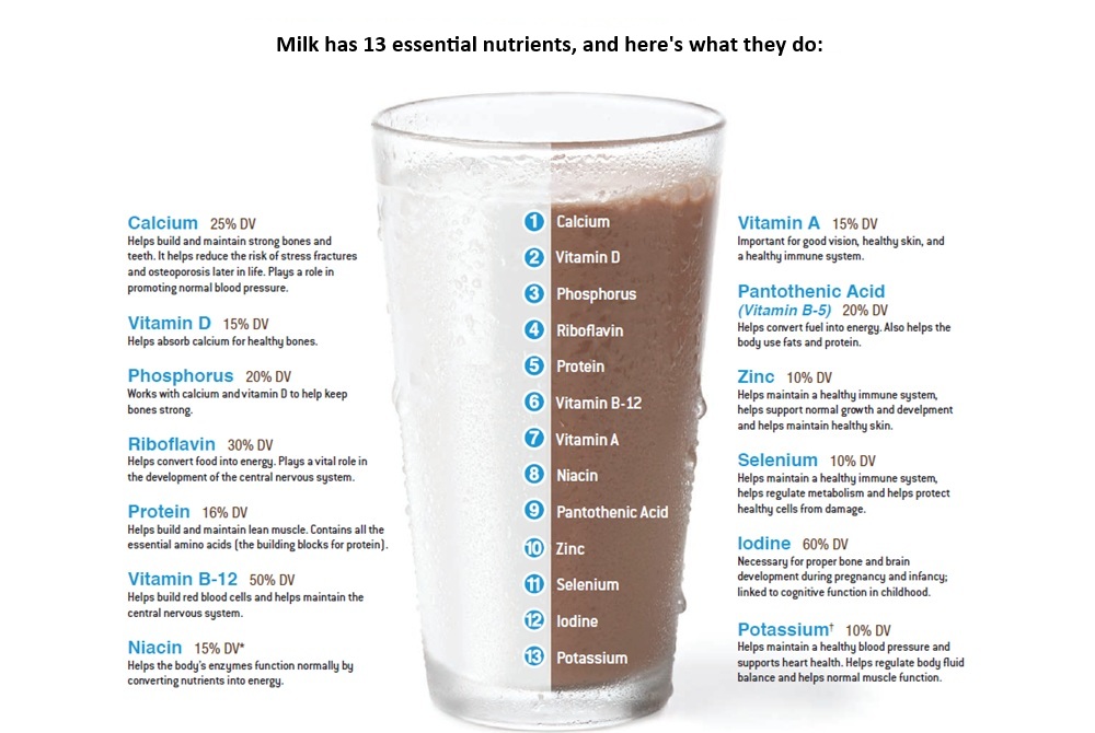 This graphic lists 13 essential nutrients in milk and how they help the body.