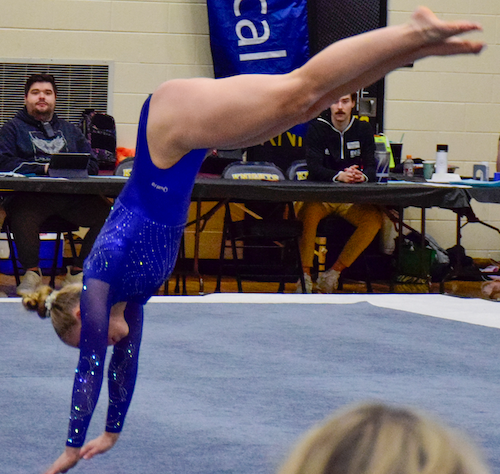 Rockford/Sparta's Hailey Hill also competes on floor on the way to winning the Division 2 all-around title.