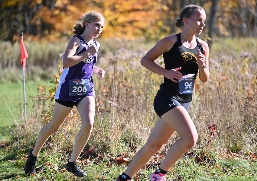 L'Anse's Lily Froese is close behind Ewen-Trout Creek's Bree Besonen.