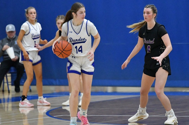 Maddie Salenbien (14) considers her next move during her team’s 46-41 loss to Onsted on Jan. 13. 