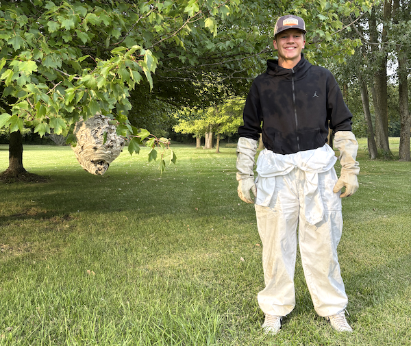 Rockafellow prepares to collect a nest Friday, despite nearly being stung.